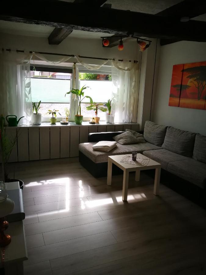 Ferienwohnung Am Finkenherd Dankerode  Exteriér fotografie